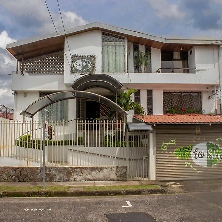 Eco Stay Hostel San Jose  Bagian luar foto