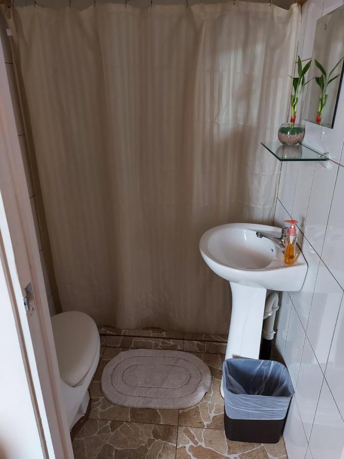 Eco Stay Hostel San Jose  Bagian luar foto