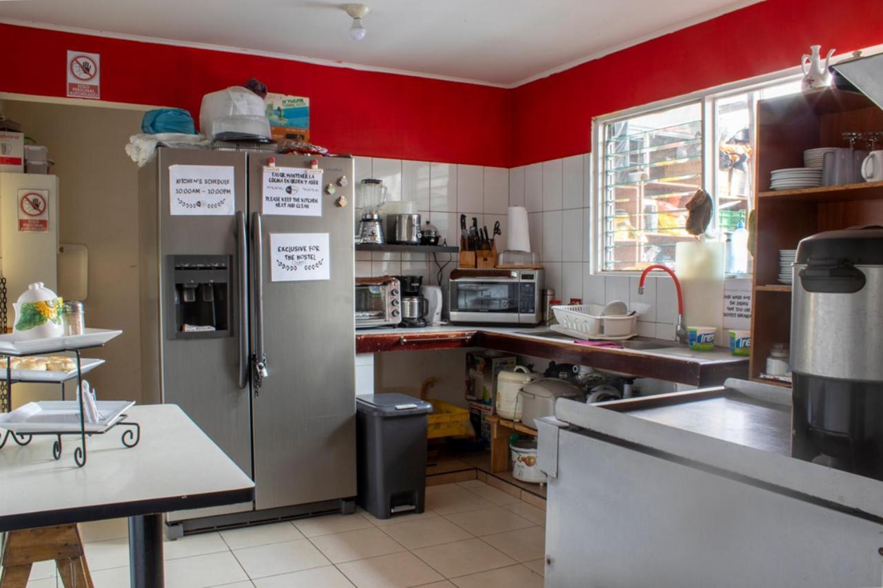 Eco Stay Hostel San Jose  Bagian luar foto