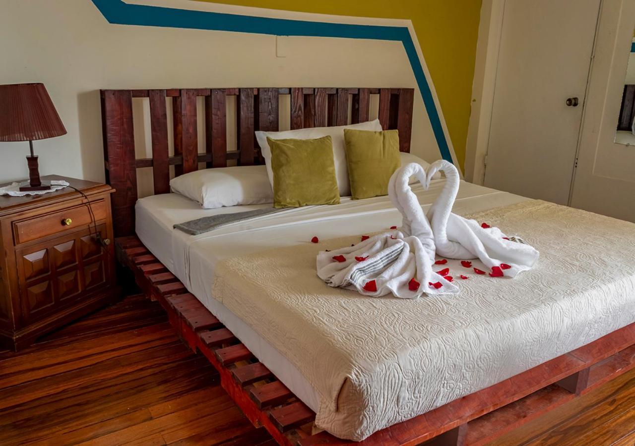 Eco Stay Hostel San Jose  Bagian luar foto