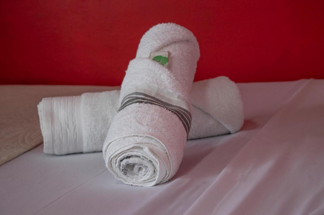 Eco Stay Hostel San Jose  Bagian luar foto