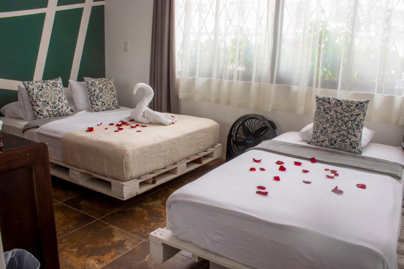 Eco Stay Hostel San Jose  Bagian luar foto