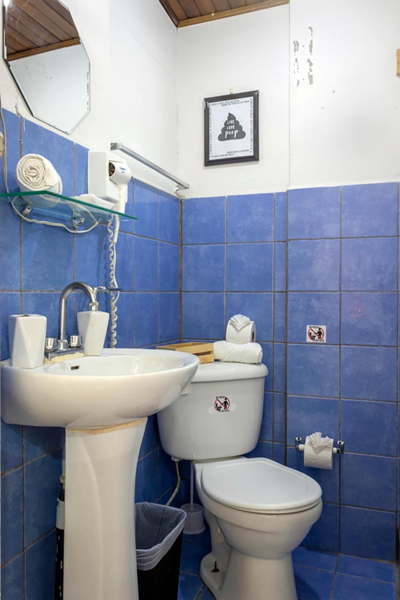 Eco Stay Hostel San Jose  Bagian luar foto