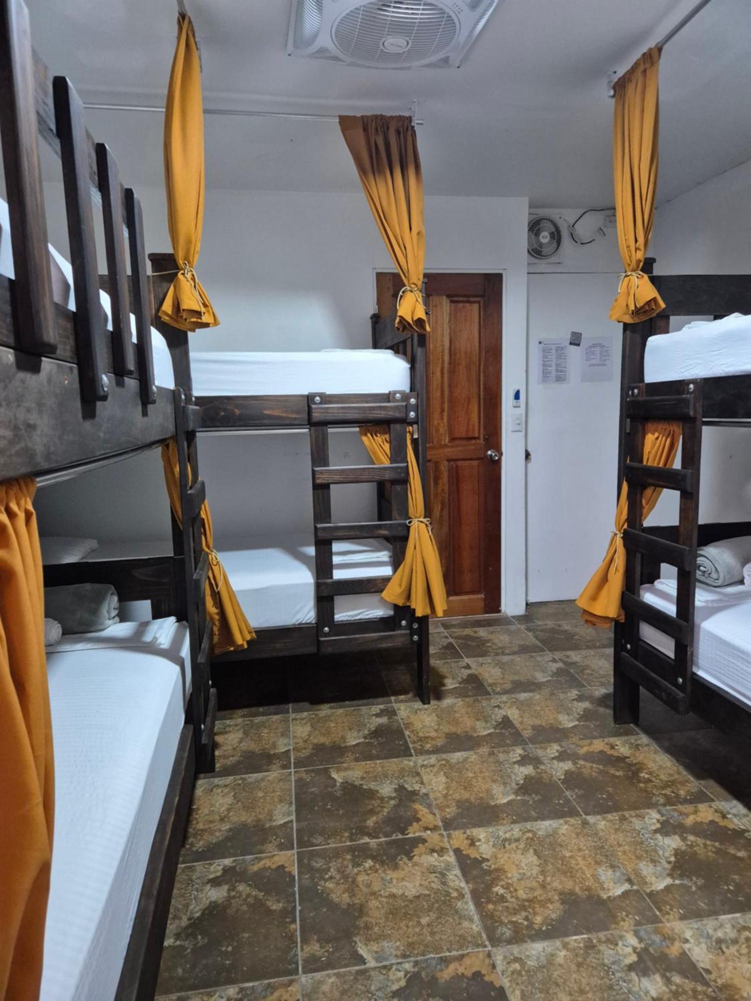 Eco Stay Hostel San Jose  Bagian luar foto